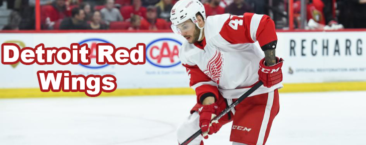 Cheap Detroit Red Wings Tickets