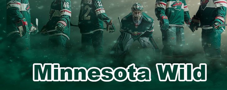 Minnesota Wild Season Tickets